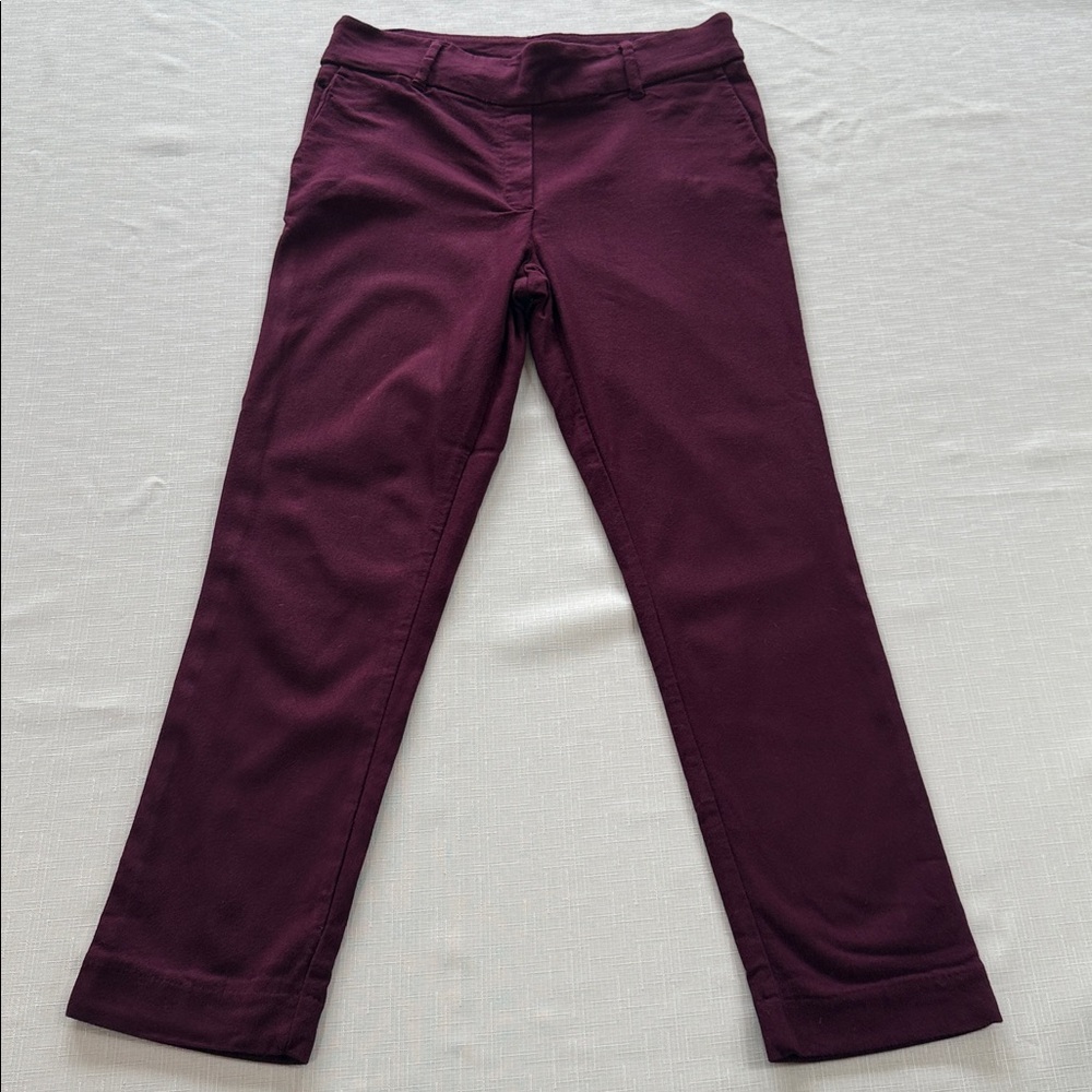 Meg and Margot Maroon Skinny Straight Leg